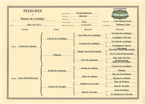 hermes di casa speranza pedigree database|Brittanydata.com.